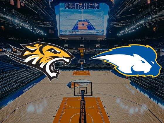 Towson Tigers at Hofstra Pride Basketball